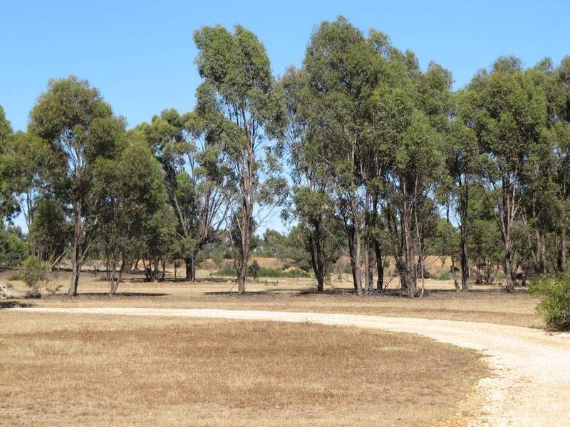 461 Native Gully Crescent, Eppalock VIC 3551