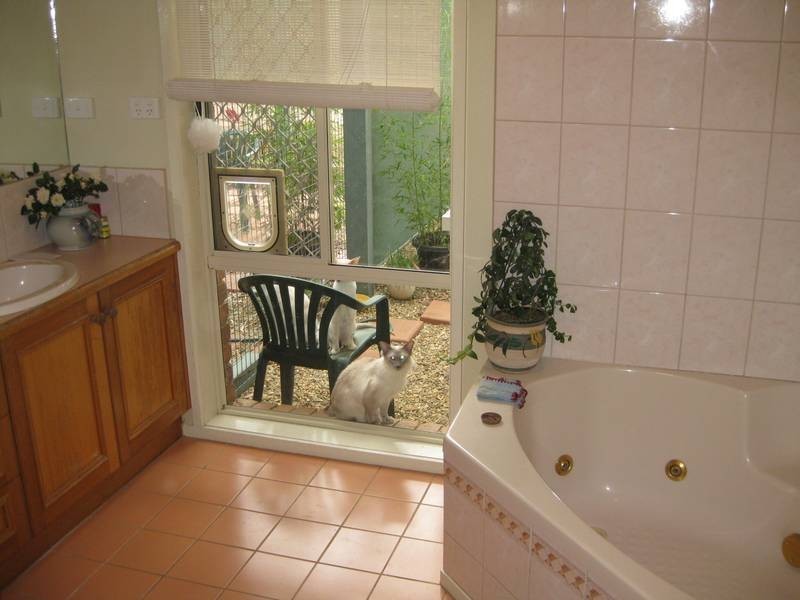 15 Clay Gully Court, Maiden Gully VIC 3551