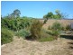 18 Hollow Street, Golden Square VIC 3555