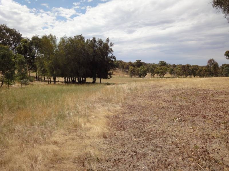 Lot 2,  Scott Drive, Mandurang South VIC 3551