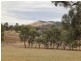 Lot 2,  Scott Drive, Mandurang South VIC 3551