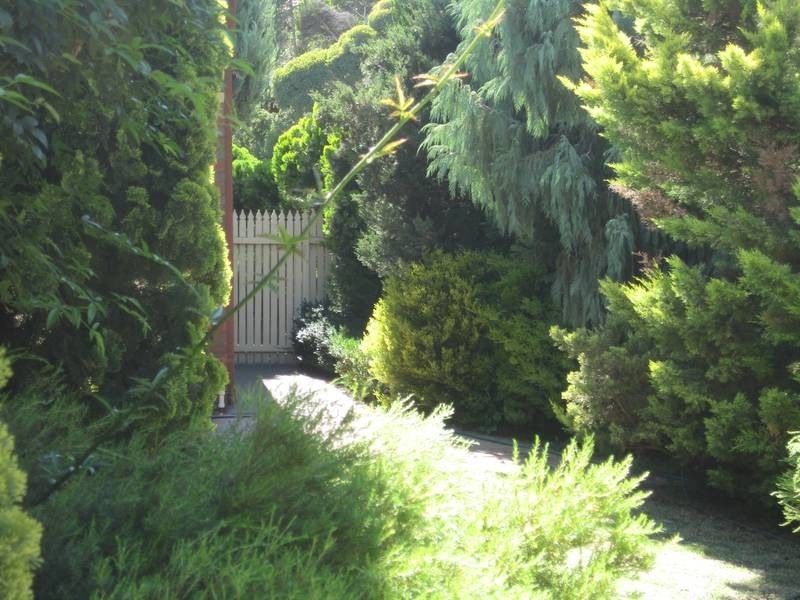 1/19 Landale Drive, Strathdale VIC 3550