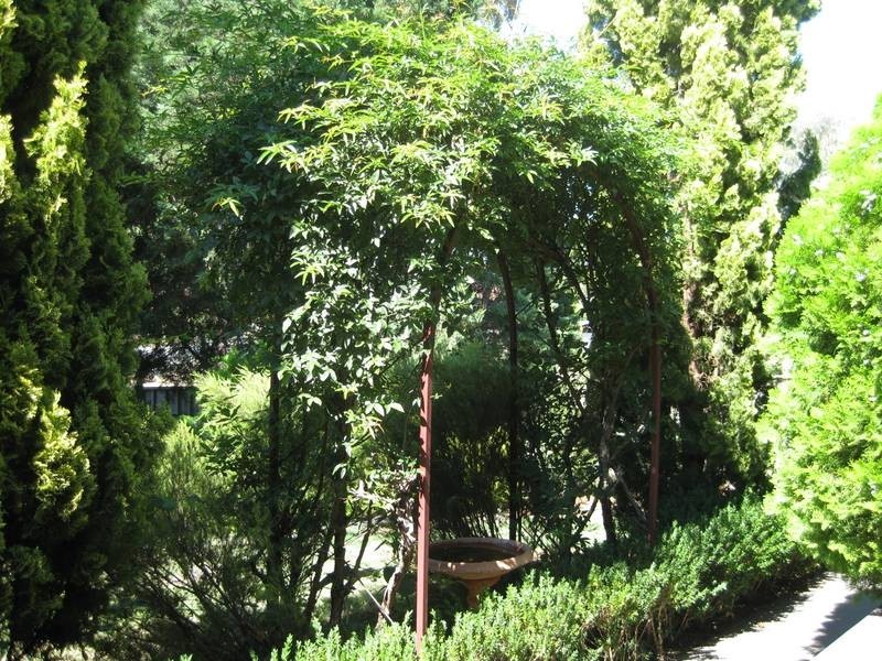 1/19 Landale Drive, Strathdale VIC 3550