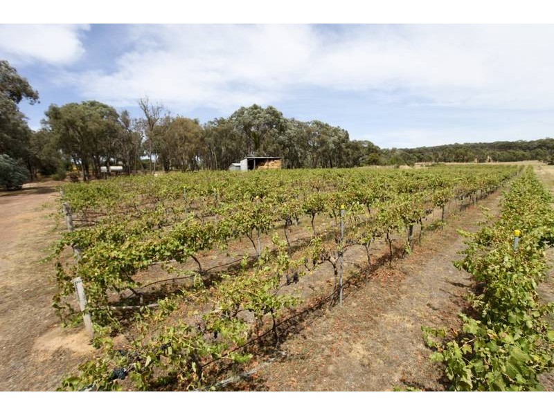 194 Kerrs Road, Mandurang South VIC 3551