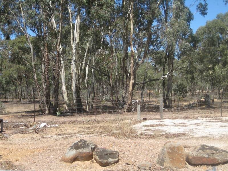 40 Homebush Drive, Junortoun VIC 3551