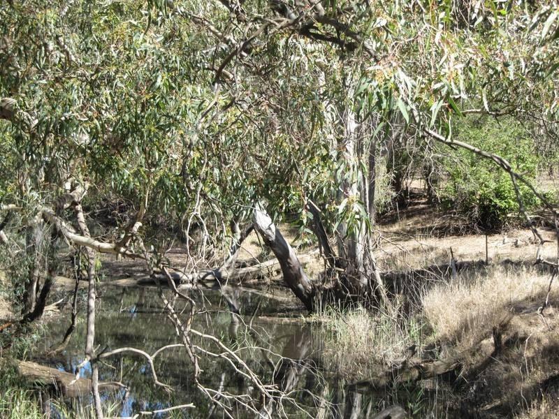 Lot 29 – 30,  Pinpandoor Road, Axedale VIC 3551