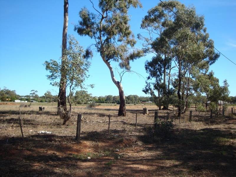 Lot 233A,  Brunel Street & Sawmill Road, Huntly VIC 3551