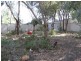 2 Lyndale Court, Flora Hill VIC 3550