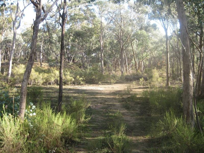 130 Fadersons Lane, Mandurang VIC 3551