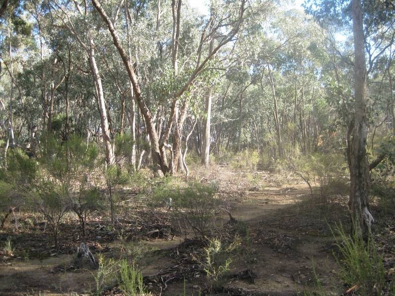 130 Fadersons Lane, Mandurang VIC 3551