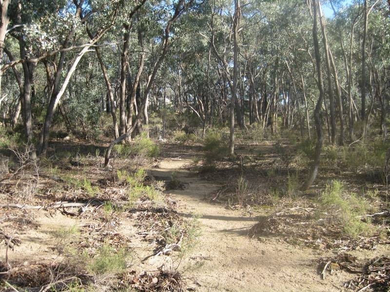 130 Fadersons Lane, Mandurang VIC 3551