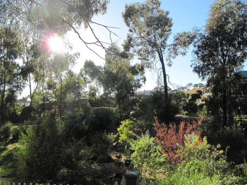 47 Race Street, Flora Hill VIC 3550