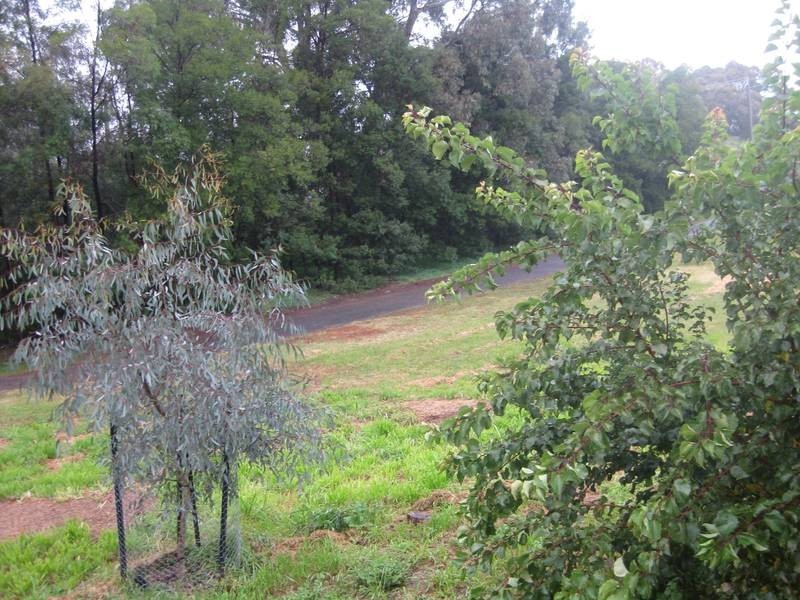 23 Belinda Avenue, Golden Square VIC 3555