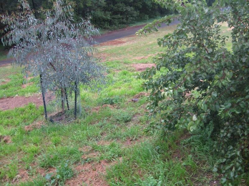 23 Belinda Avenue, Golden Square VIC 3555