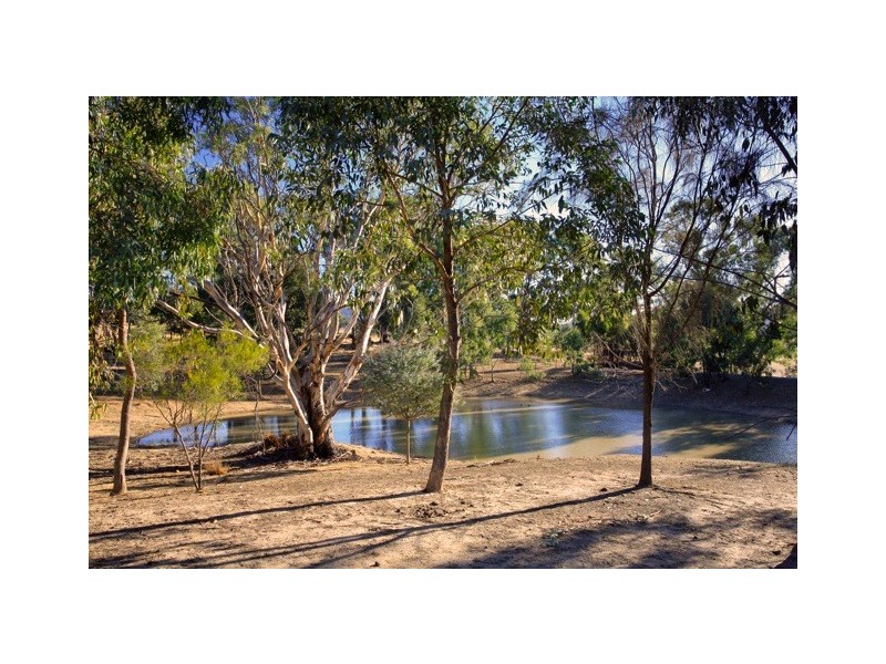 573 Sutton Grange Road, Sedgwick VIC 3551