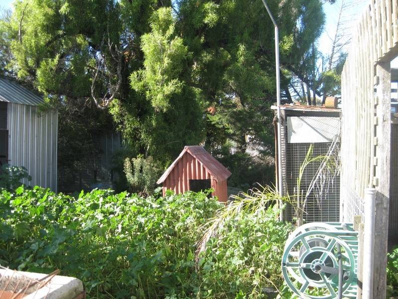 13 Lindsay Street, Kangaroo Flat VIC 3555