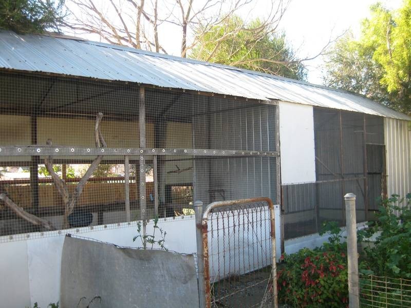 13 Lindsay Street, Kangaroo Flat VIC 3555