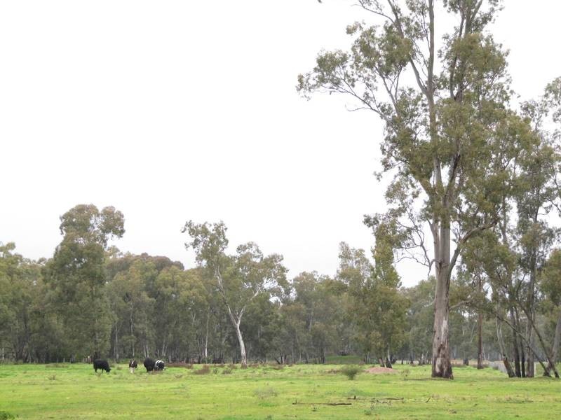 170 Ironstone Road, Epsom VIC 3551