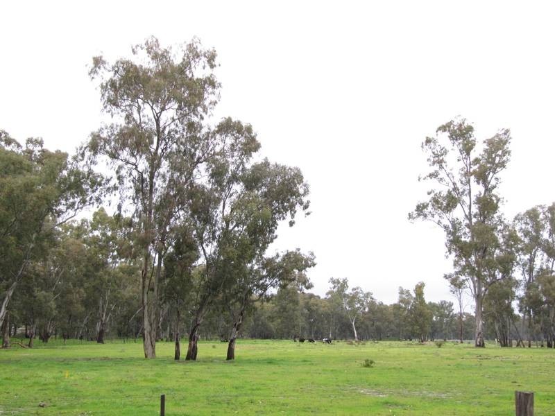 170 Ironstone Road, Epsom VIC 3551