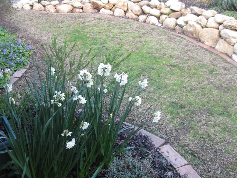 426 Howard Street, Eaglehawk VIC 3556