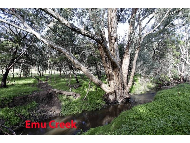 Roseneath Estate, Sedgwick VIC 3551
