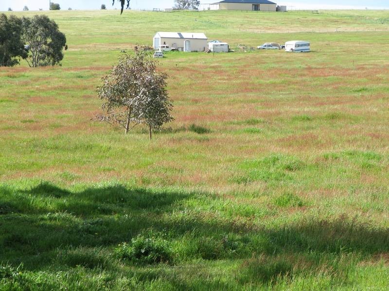 272 Mulberry Lane, Lockwood South VIC 3551