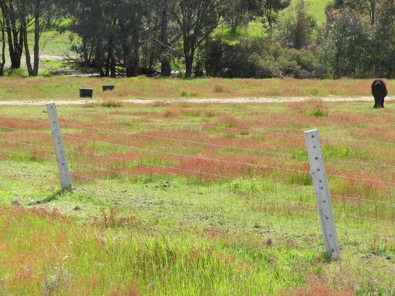 272 Mulberry Lane, Lockwood South VIC 3551