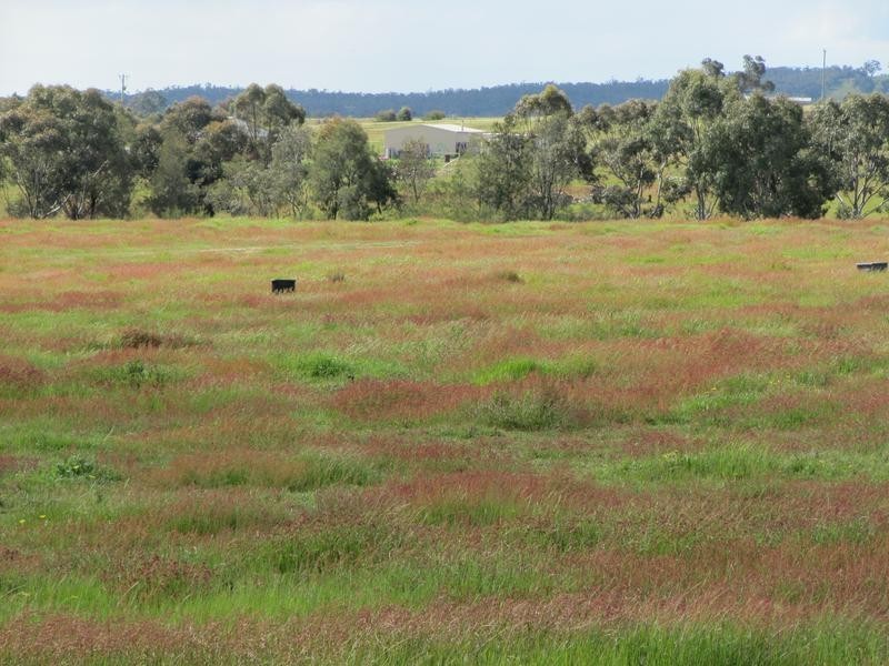 272 Mulberry Lane, Lockwood South VIC 3551