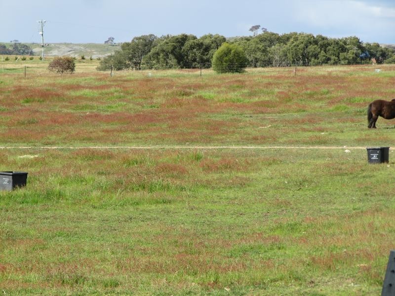 272 Mulberry Lane, Lockwood South VIC 3551