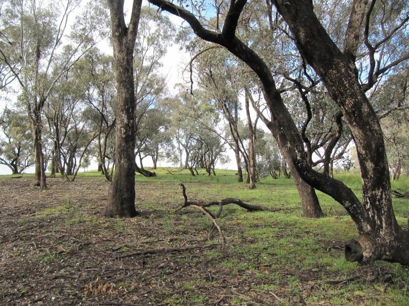 96 Ryans Lane, Eppalock VIC 3551