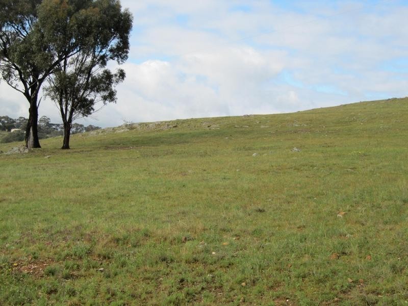 96 Ryans Lane, Eppalock VIC 3551