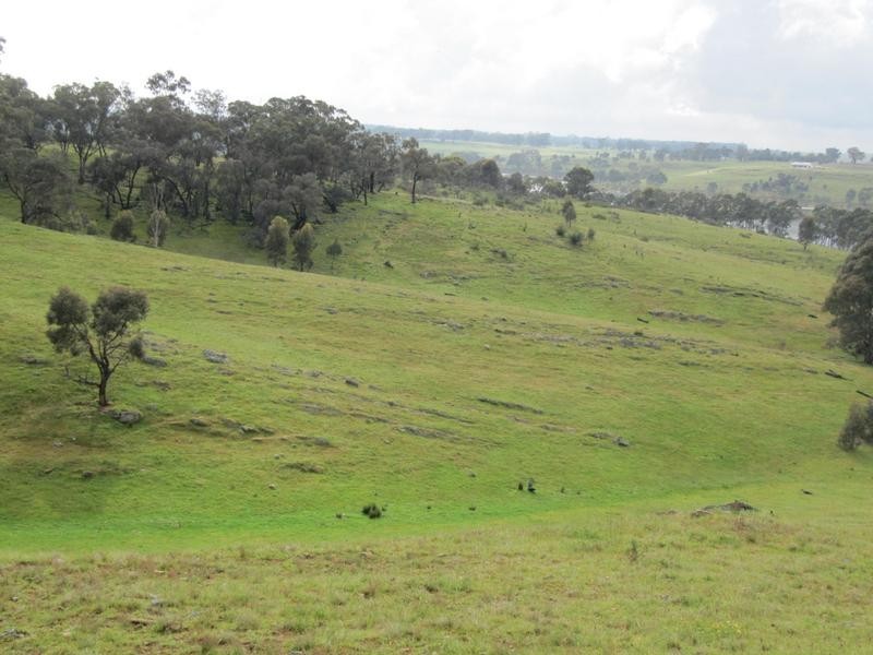 96 Ryans Lane, Eppalock VIC 3551