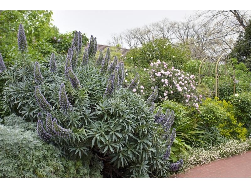 74 Bridge Street, Bendigo VIC 3550