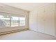 408 Napier Street, White Hills VIC 3550