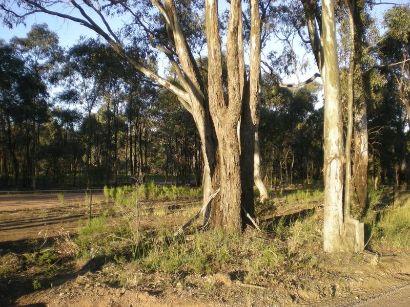 Lot 1,  Bakers Lane, Strathfieldsaye VIC 3551