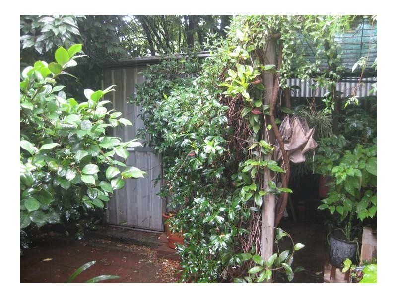 7/180 Williamson Street, Kennington VIC 3550