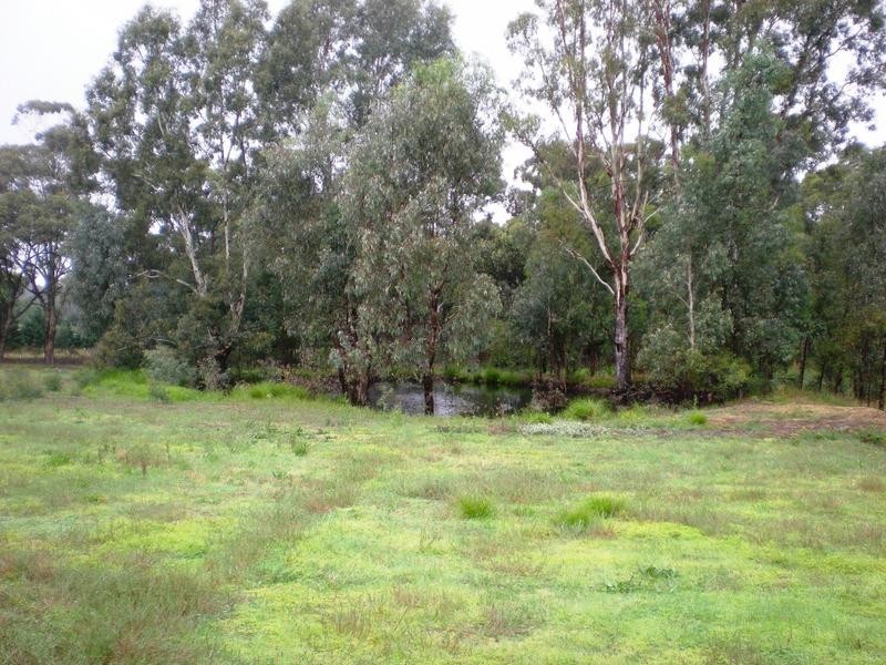 516 Strathfieldsaye Road, Bendigo VIC 3550