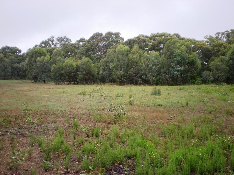 516 Strathfieldsaye Road, Bendigo VIC 3550