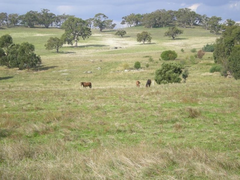 141 Moffatt Drive, Harcourt North VIC 3453