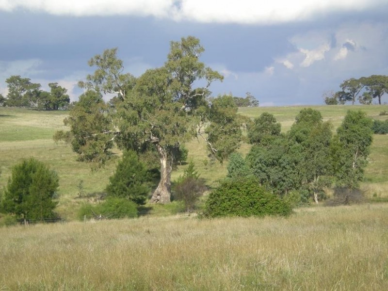 141 Moffatt Drive, Harcourt North VIC 3453