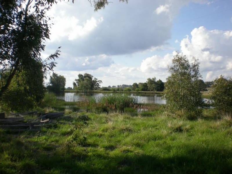 141 Moffatt Drive, Harcourt North VIC 3453