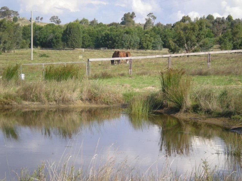 141 Moffatt Drive, Harcourt North VIC 3453