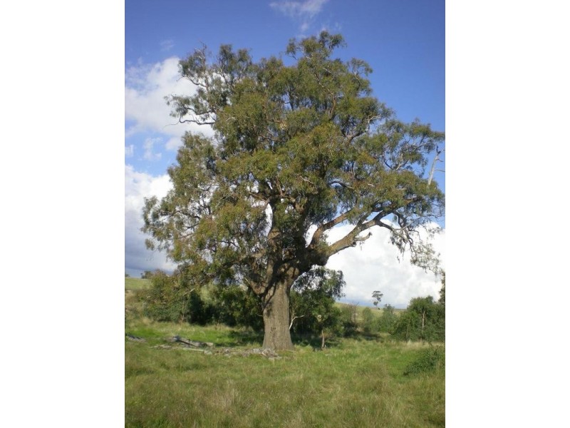 141 Moffatt Drive, Harcourt North VIC 3453