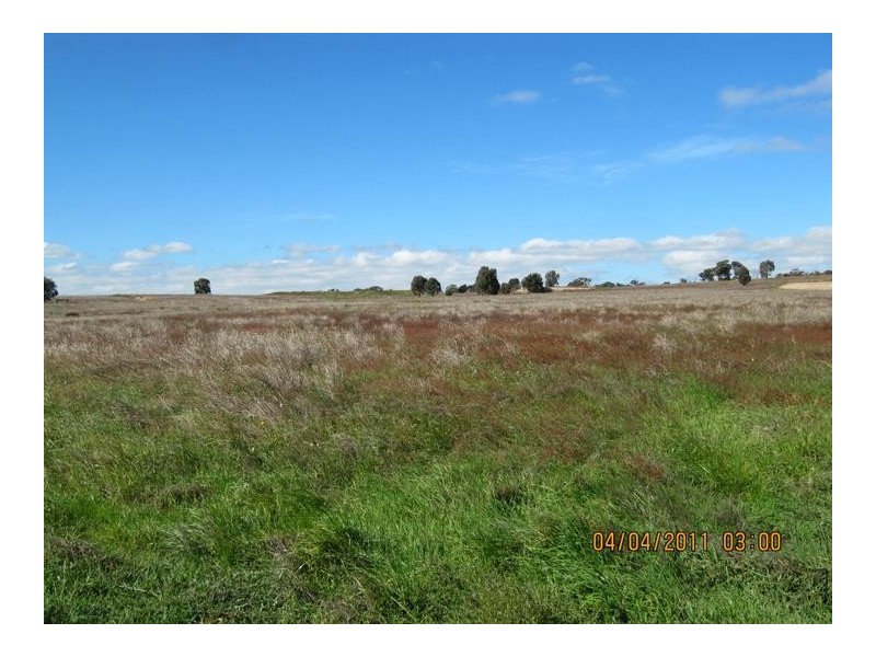 122 Springvale Road, Lockwood South VIC 3551