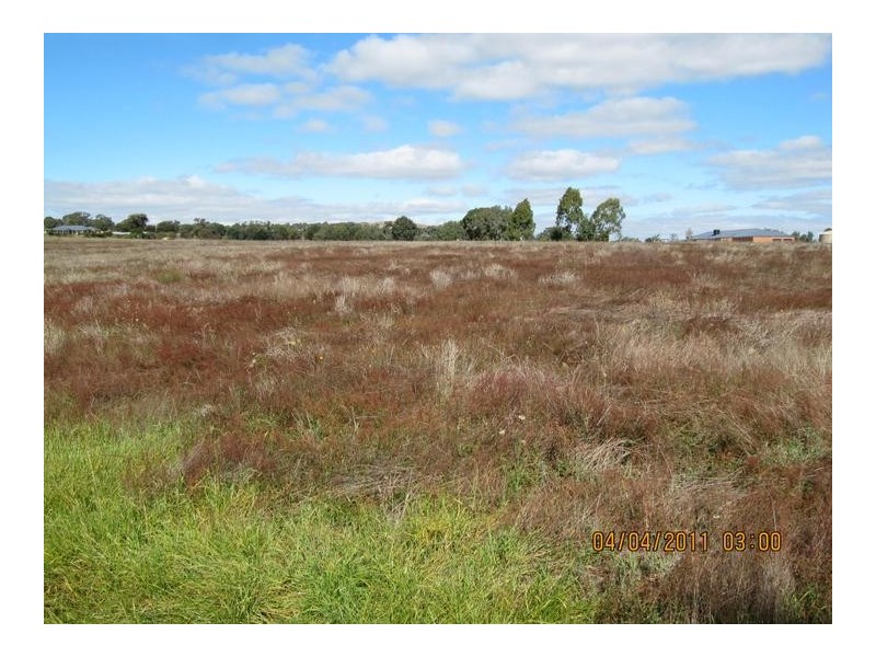 122 Springvale Road, Lockwood South VIC 3551