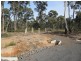 Junortoun Ridge Estate, Junortoun VIC 3551