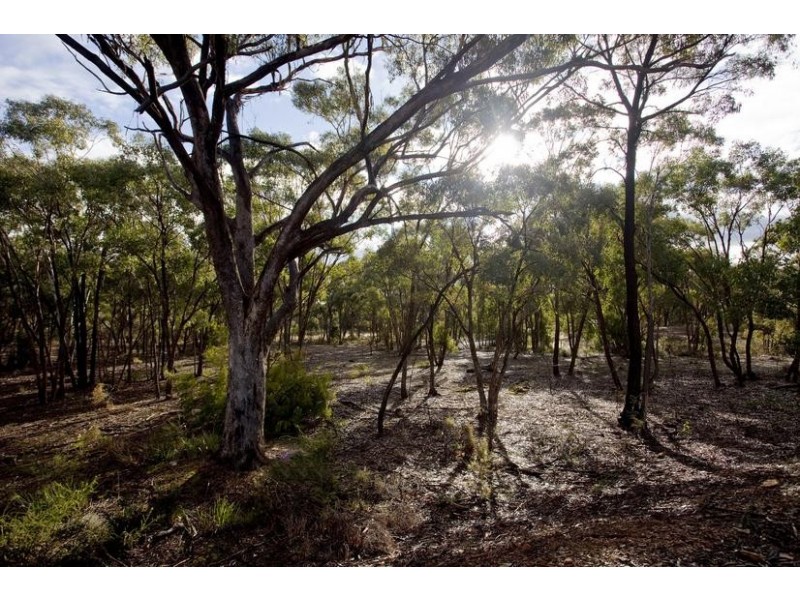 81 Boyds Road, Lockwood VIC 3551