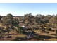 561 Pethericks Road, Goornong VIC 3557