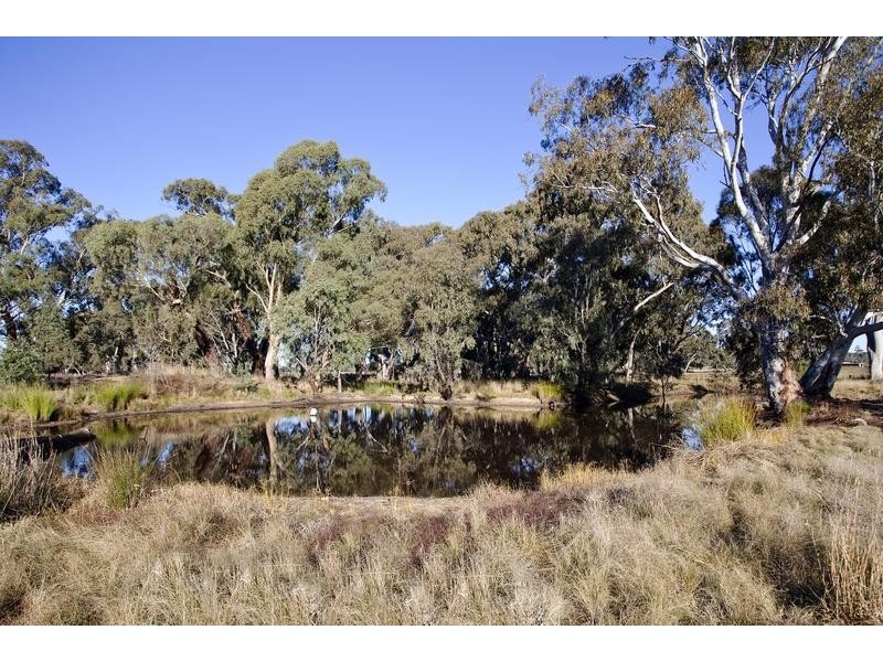 561 Pethericks Road, Goornong VIC 3557