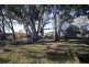 561 Pethericks Road, Goornong VIC 3557